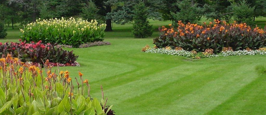 http://alwaysbeautifullawns.com/wp-content/uploads/2012/10/lawn_and_landscape-920x400.jpg