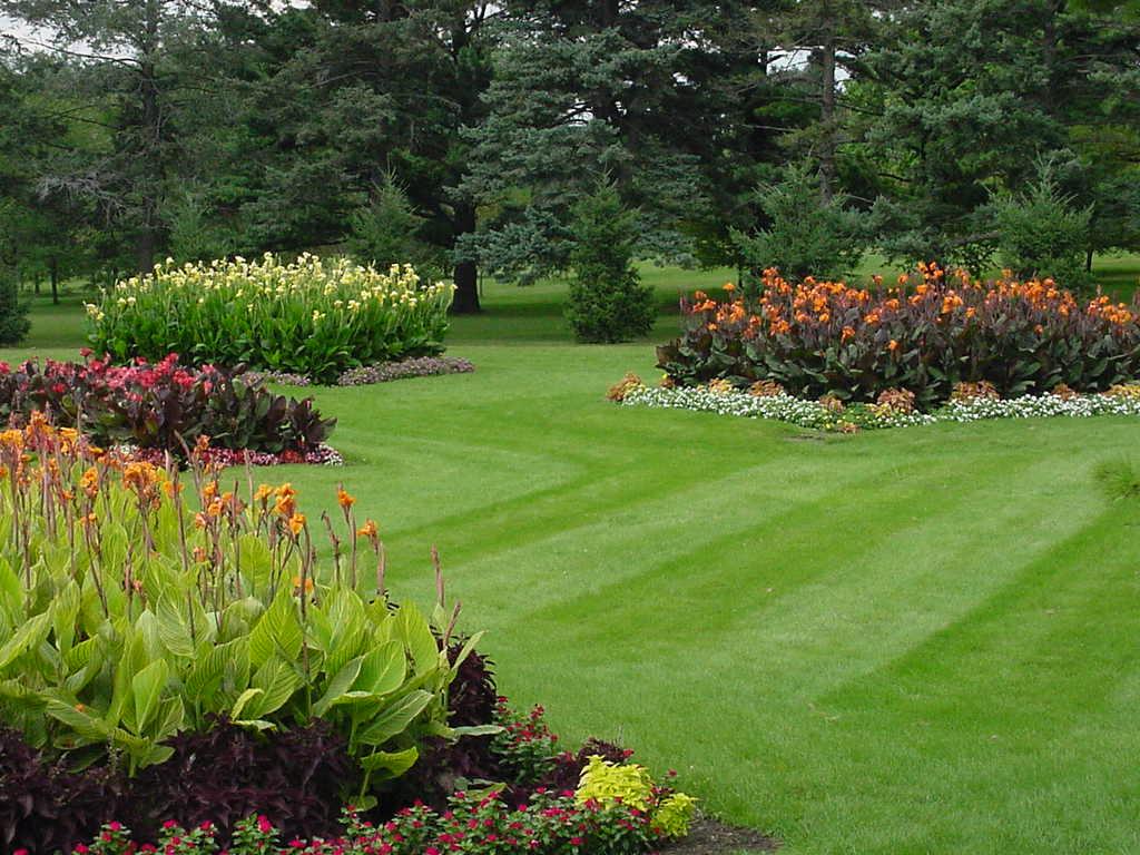 lawn_and_landscape